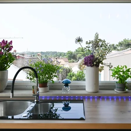 Stela Borik Apartman Rovinj